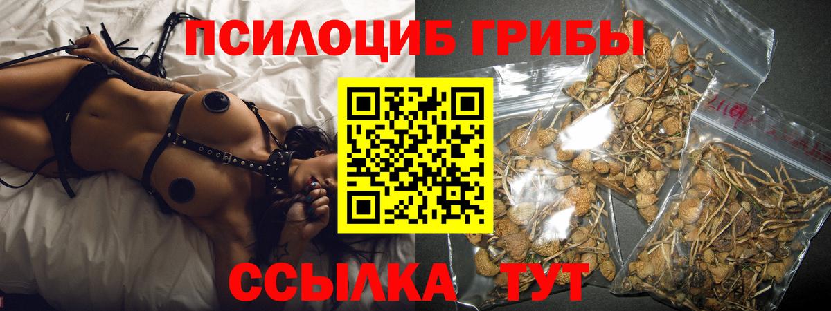 Псилоцибиновые грибы Cubensis  Вход с VPN  Псилоцибиновые грибы MAGIC MUSHROOMS  Сочи 