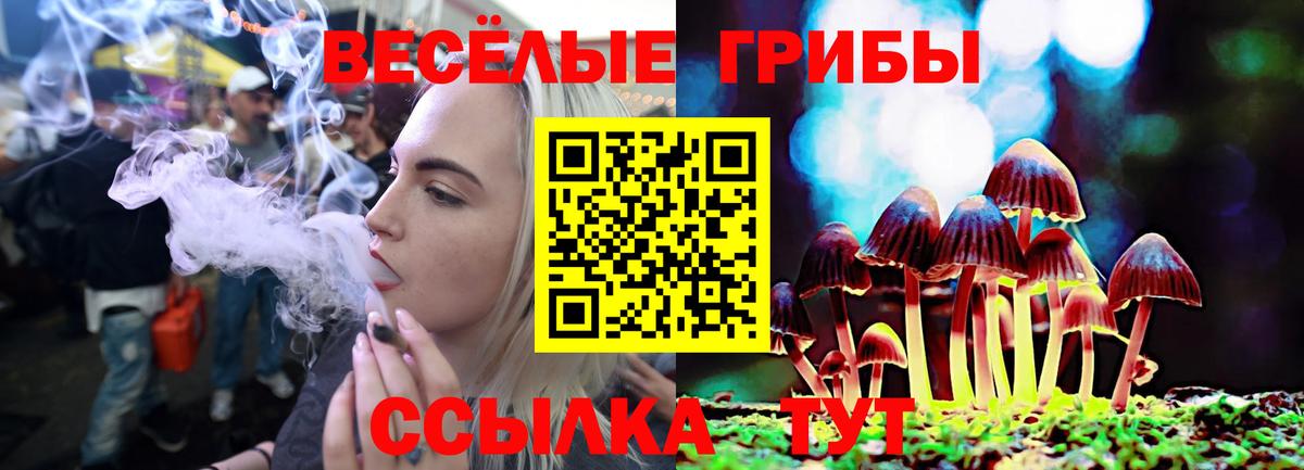 Псилоцибиновые грибы мухоморы Сочи